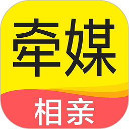 星空平台的用户体验与反馈评估